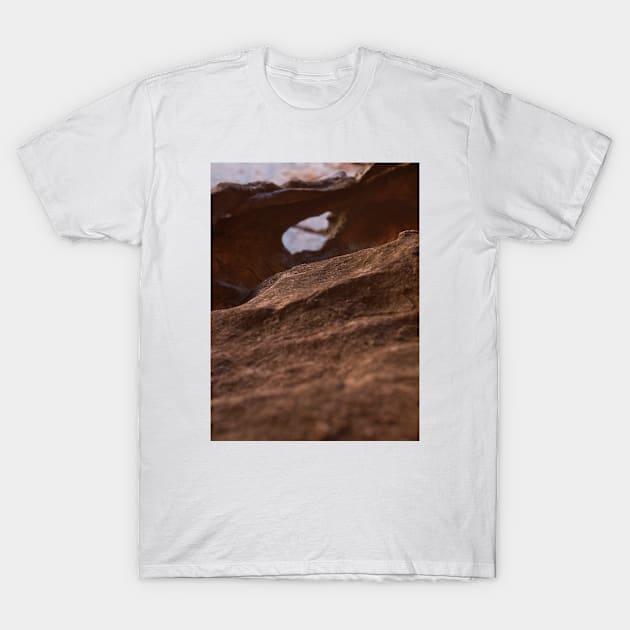 Rockface lines texture T-Shirt by Chris W